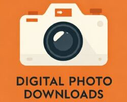 Download Unique Digital Photos Now